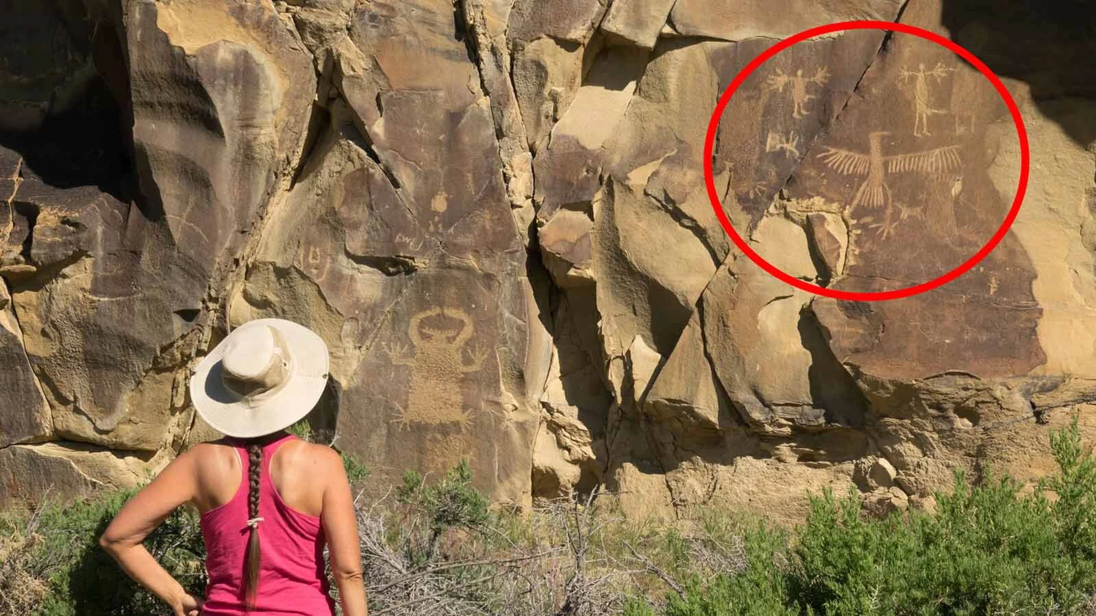 Many Native American tribes have legends of the "Thunder Bird," a giant bird that would soar high above the clouds. In 1890, a pair of cowboys claimed to have stumbled on a giant bird in the Arizona desert but skeptics now wonder if it was a hoax rather than a scientific discovery. Locals who claimed to have talked to these ranchers say that it was true though the creature only had a 30 foot wingspan, not 160 feet.
