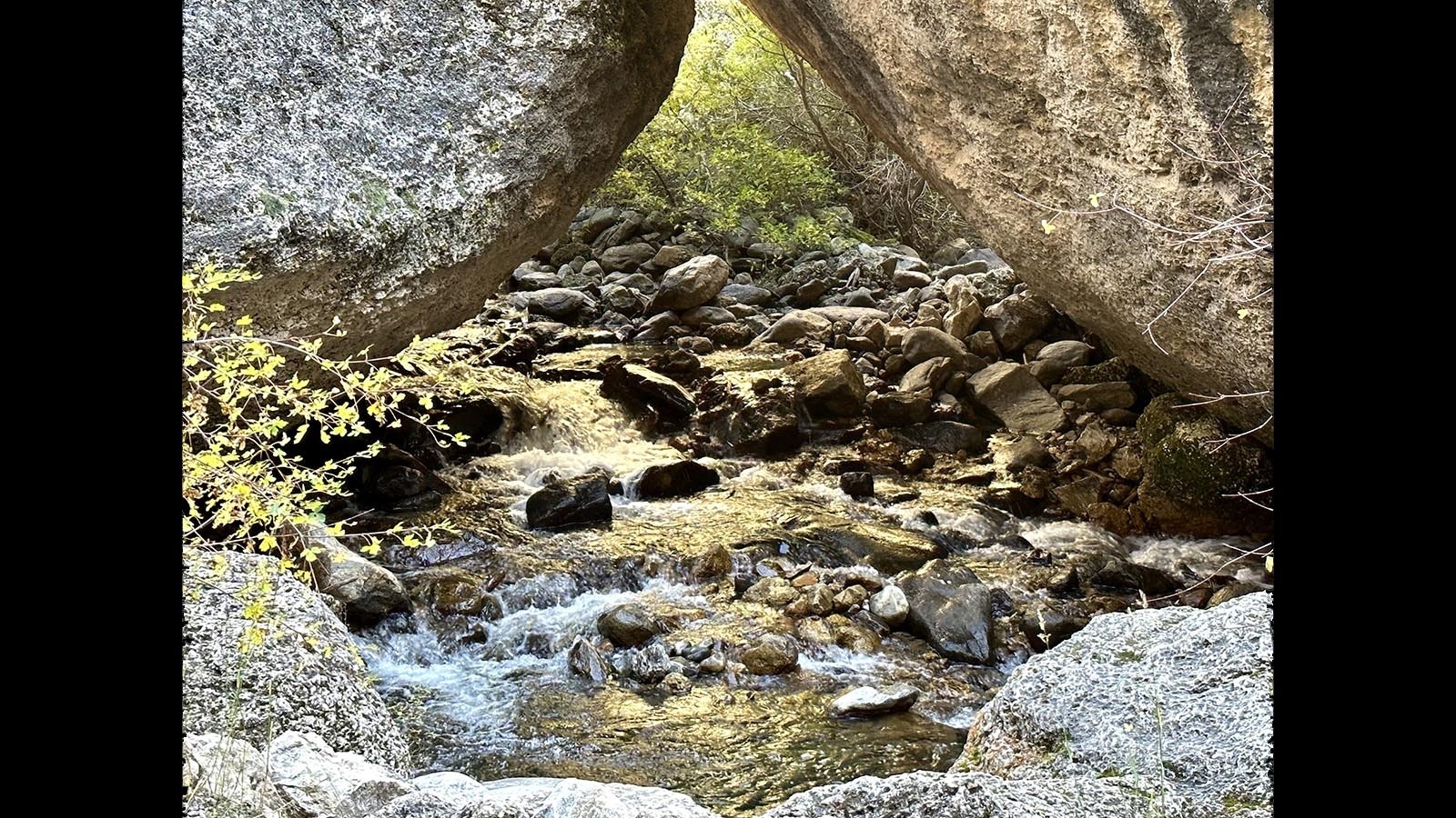 Crazy Woman Canyon. Lesleigh Ann Schaefer was never afraid to go down the backroads of Wyoming to get the pictures she wanted. As she faces cancer and is now in hospice, she looks back fondly on all these adventures she had as recently as a month ago.