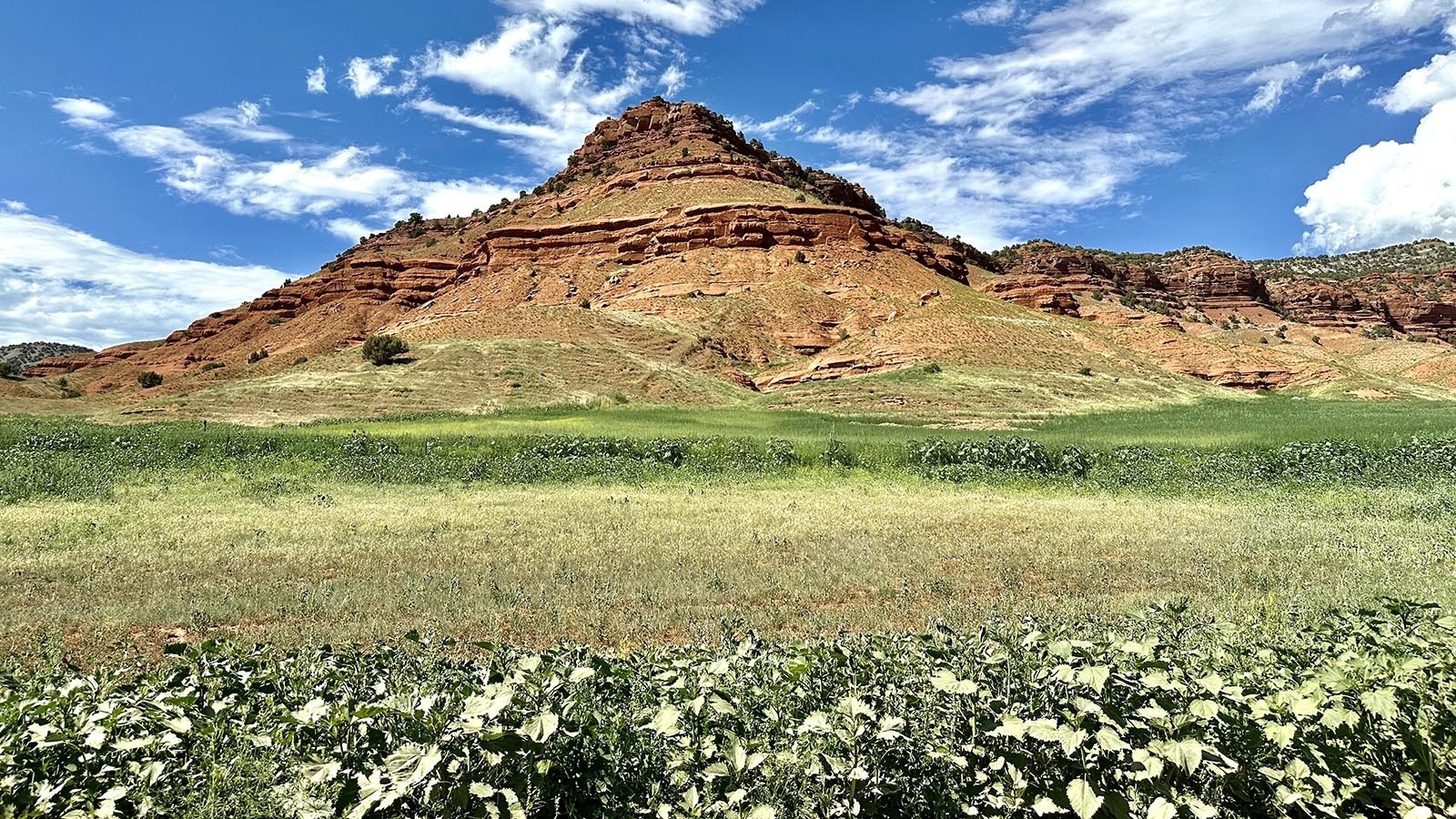 Buffalo Creek Road, Lander, Wyoming.