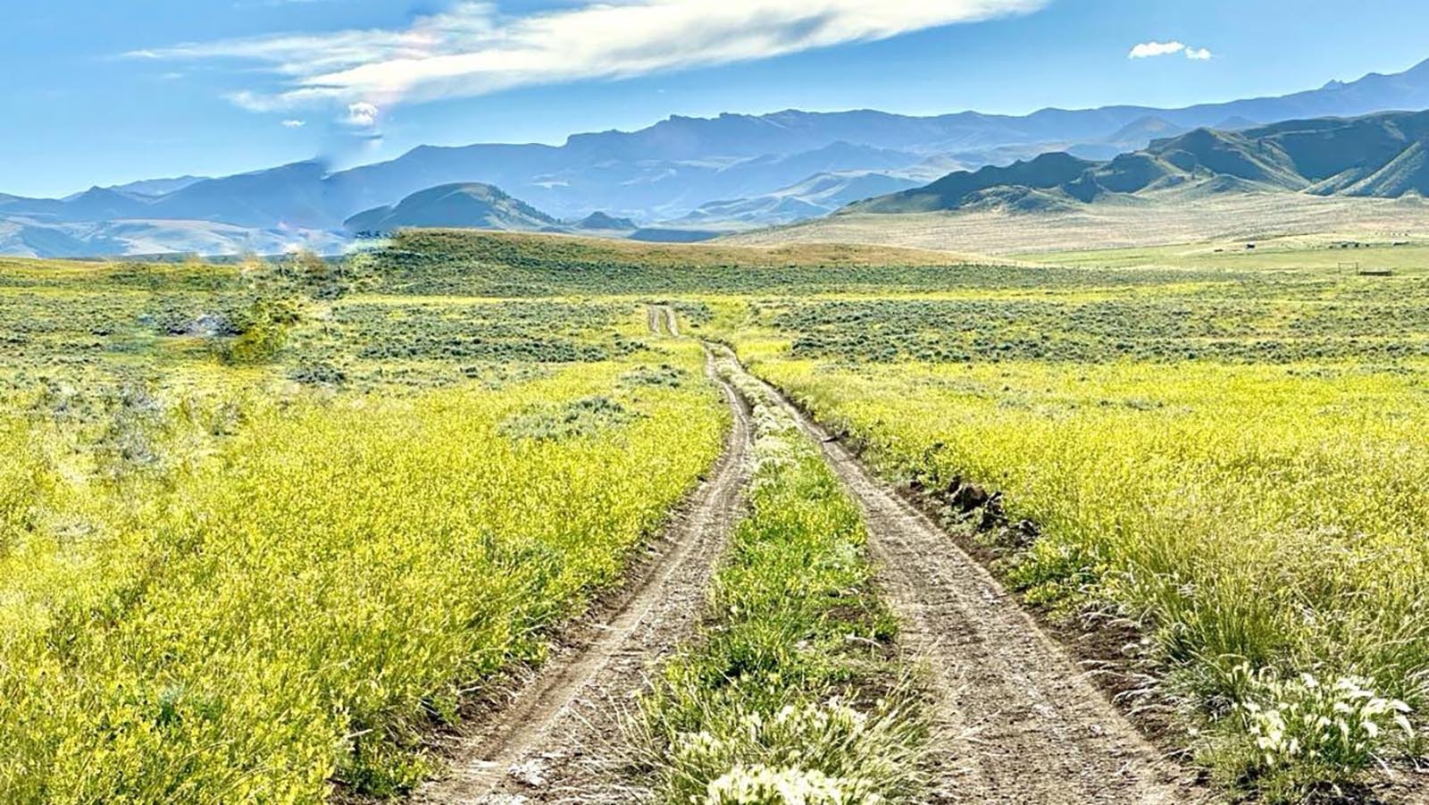 Typical and beautiful back road near Anchor Dam in Hot Springs County.