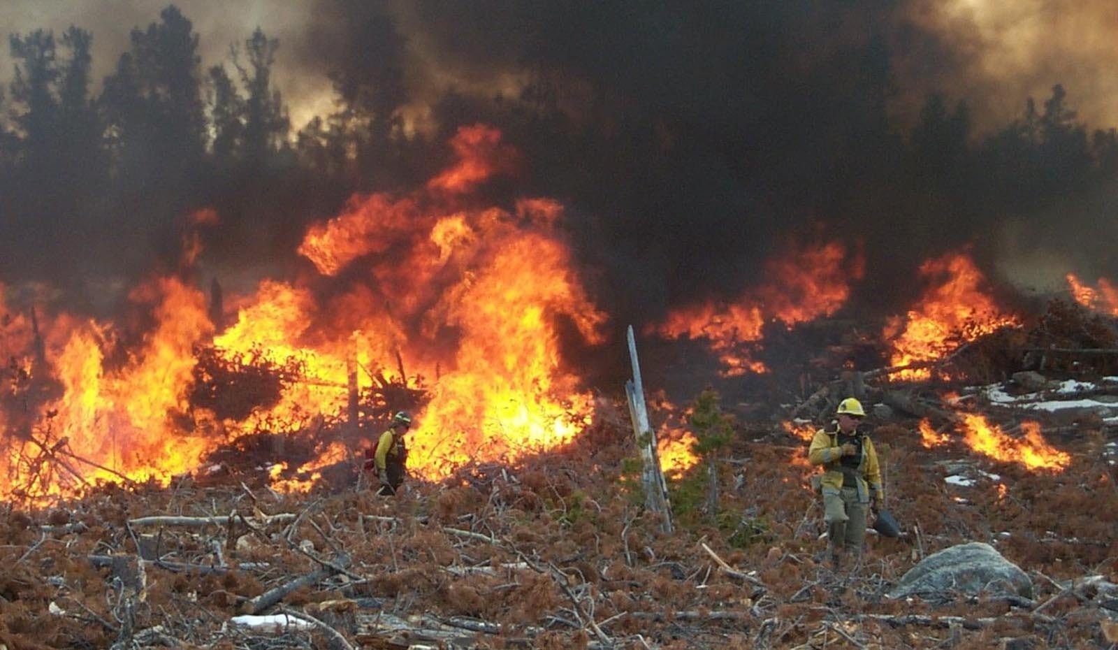 Burning piles of slash, or the leftover material from logging, during cool, wet weather helps reduce the risk of massive summer wildfires.