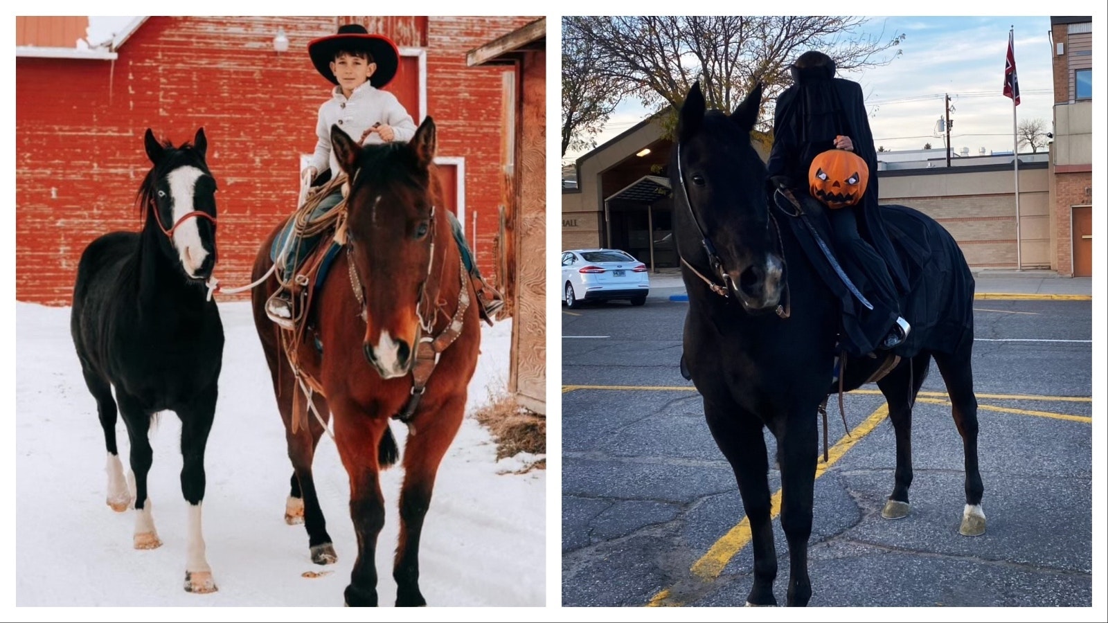 Snip's costume as the Headless Horseman's black steed was created with a can of spray paint from the livestock store. This safe paint is usually used on show cows.