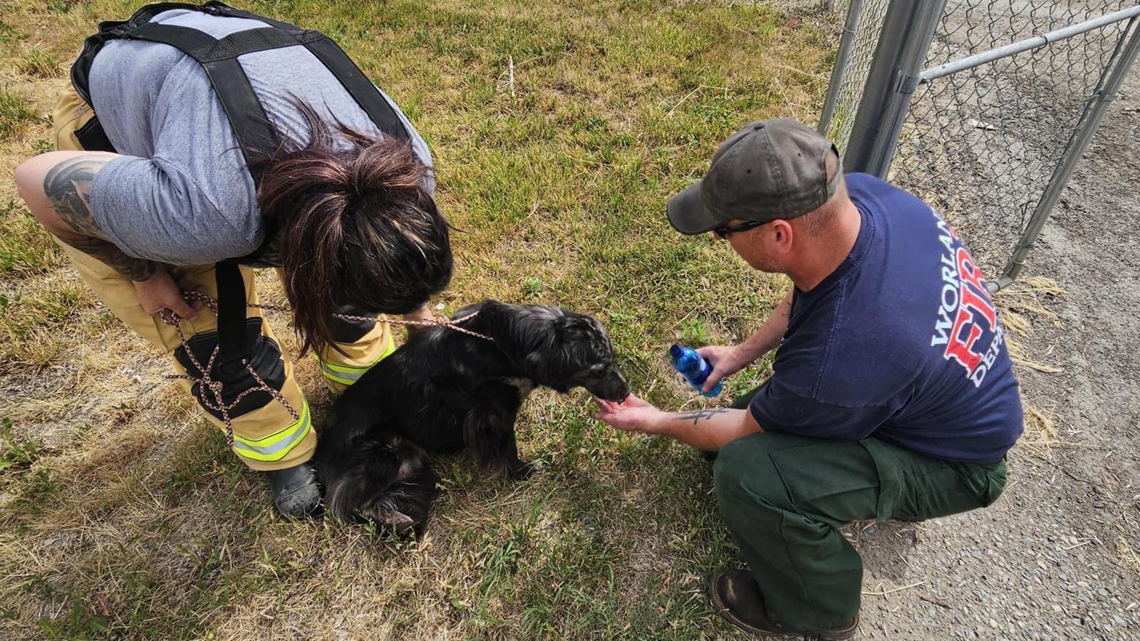 This scare, starving and dehydrated pooch that's been nammed Libby had been stuck in this deep concrete water tank for day when Worland city workers noticed her. Woorland firefighters then rescued Libby, who is recovering.