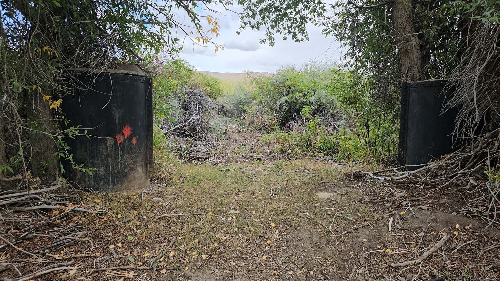 This fragment of the Lincoln Highway ends here, between two pylons that used to hold up a bridge that crossed the river that is hidden beyond the meadow.