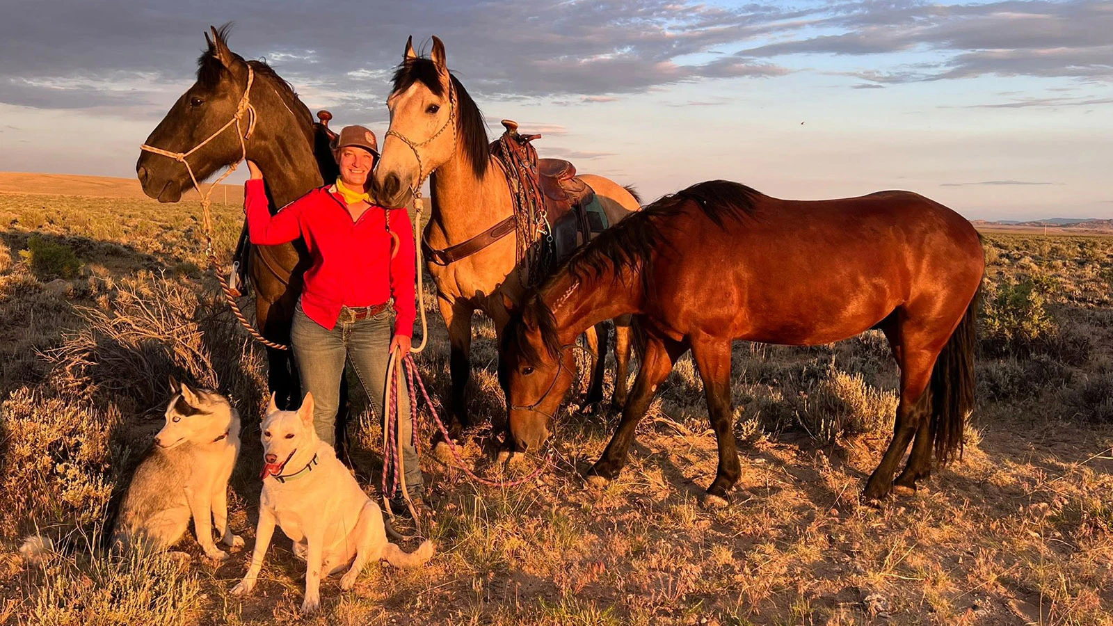 When Lisanne Fear sat down to write a suicide note, she couldn't bring herself to part with a mustang named Phineas. That decision led to the Pinedale, Wyoming, woman's 5,000-mile ride across the U.S.