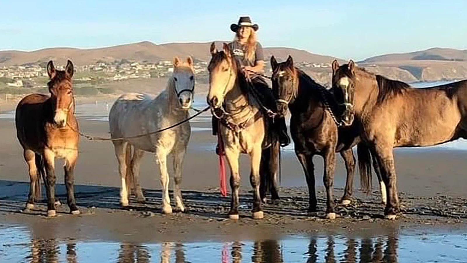 When Lisanne Fear sat down to write a suicide note, she couldn't bring herself to part with a mustang named Phineas. That decision led to the Pinedale, Wyoming, woman's 5,000-mile ride across the U.S.