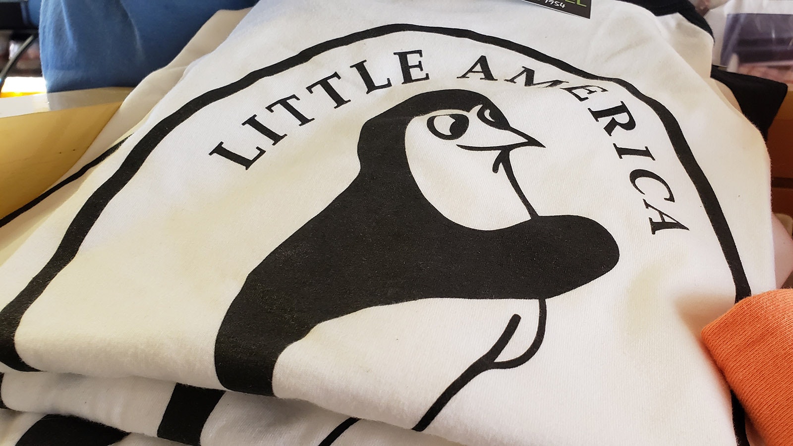 The stuffed emperor penguin on display at the Green River Little America started its journey to Wyoming from Antarctica alive and died during transport. The plan was to keep a living penguin at the hotel, but it was doomed from the start. But that didn't stop the hotel from adopting the penguin as its mascot.