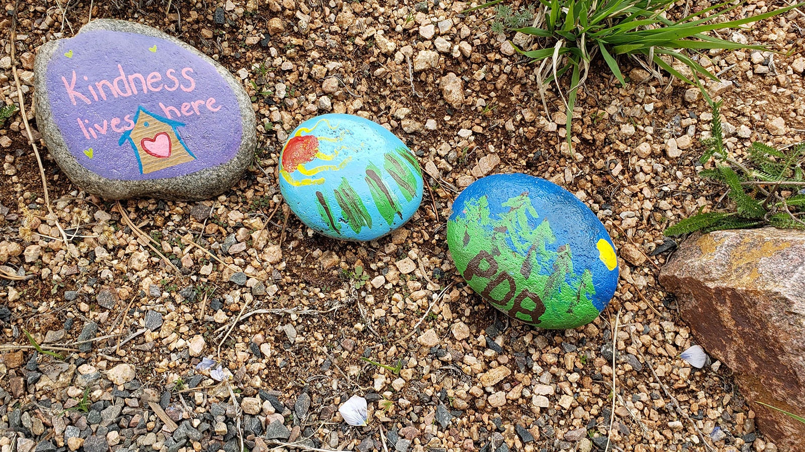 Kindness rocks lined the pathway to Little House on the Park.