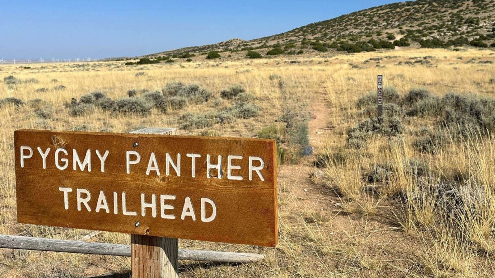 Pygmy Panther Trailhead.