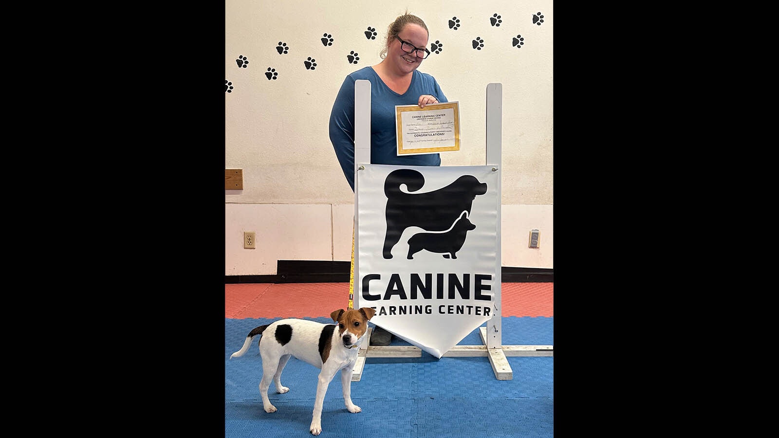 Monica Turner of Cheyenne owns and trains rare Danish-Swedish farmdogs. Her dog Bea recently graduated from “puppy prep school."