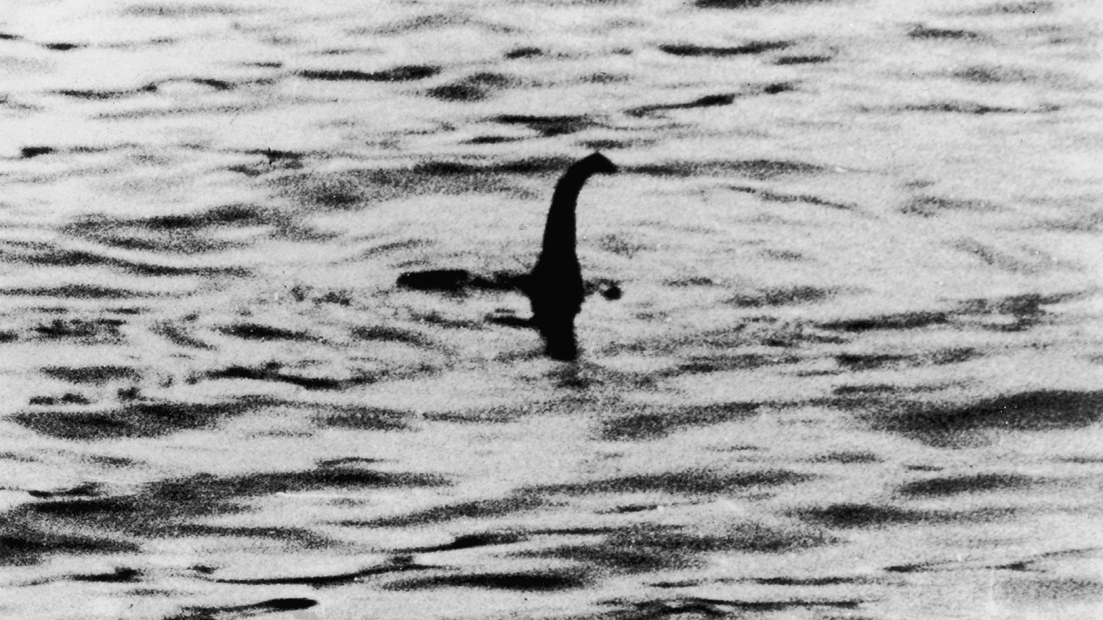 A view of the Loch Ness Monster near Inverness, Scotland, on April 19, 1934. The photograph, one of two pictures known as the "surgeon's photographs," was allegedly taken by Col. Robert Kenneth Wilson, though it was later exposed as a hoax by one of the participants, Chris Spurling, who, on his deathbed revealed that the pictures were staged.