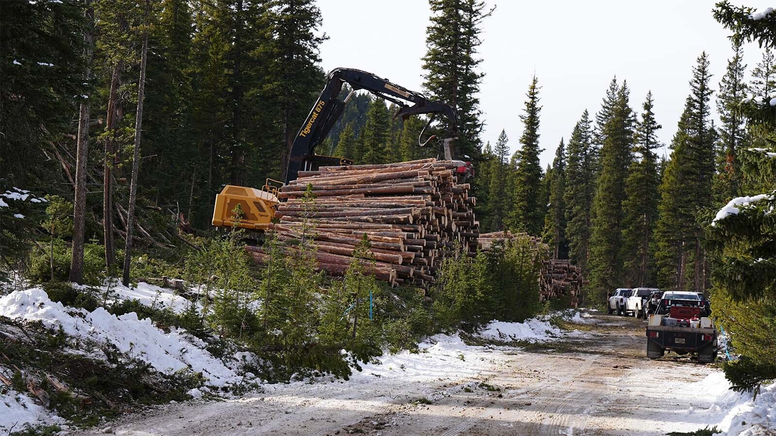 Sand Creek Road just off the Snowy Range Scenic Byway is hugely popular with local residents, and this winter it’s getting plowed. But only logging trucks are allowed on it, as in this file photo.