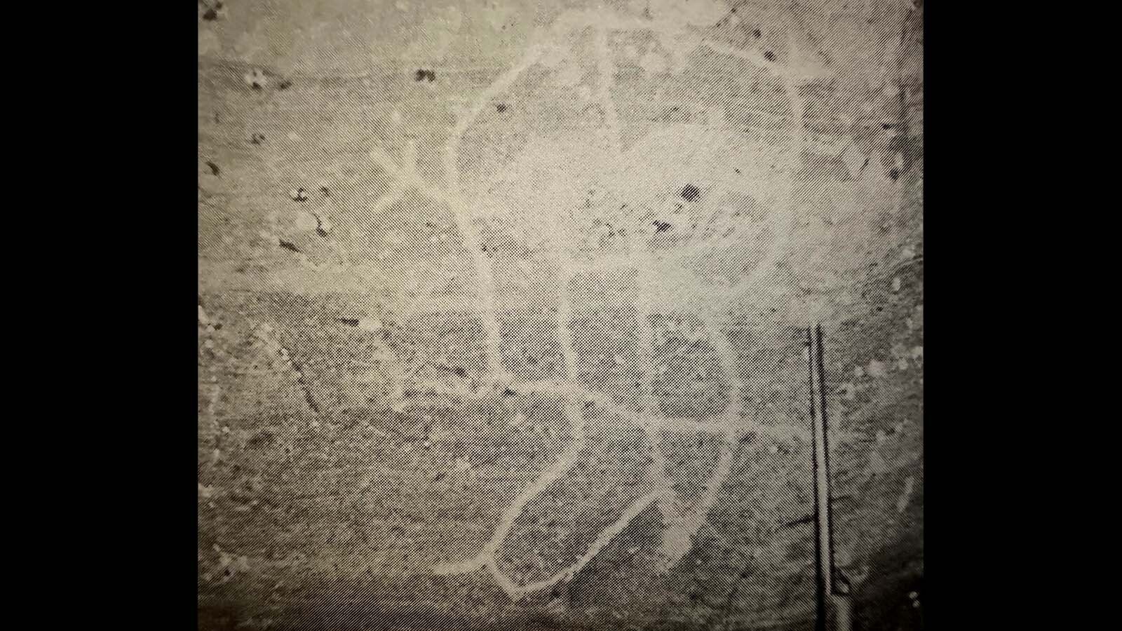 The “Boot Map” is carved into a boulder in the Bighorn Mountains. It is believed by some to be a map to the Lost Cabin Gold Mine which prospectors have searched for over the past 160 years.