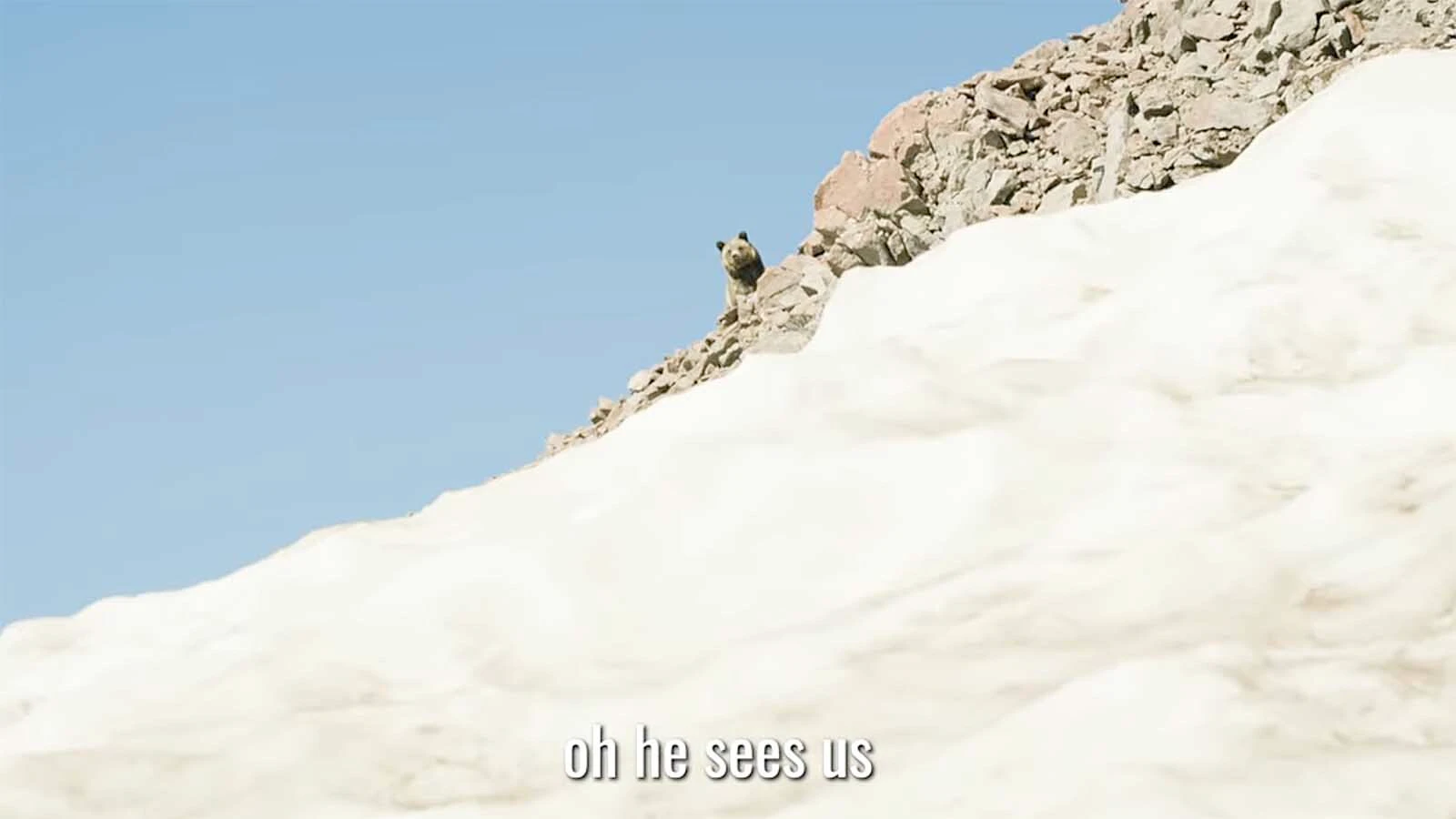 Outdoorsman and wildlife filmmaker Casey Anderson encountered 47 grizzly bears before noon in the high country of the Southern Absaroka mountains. The bears were congregating to gorge themselves on army cutworm moths.