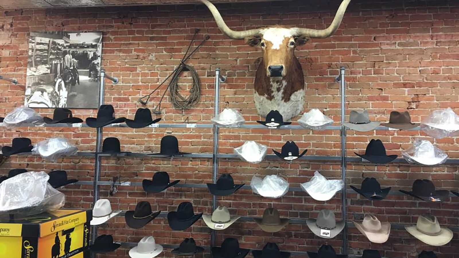 More cowboy hats under the mount of a longhorn steer.