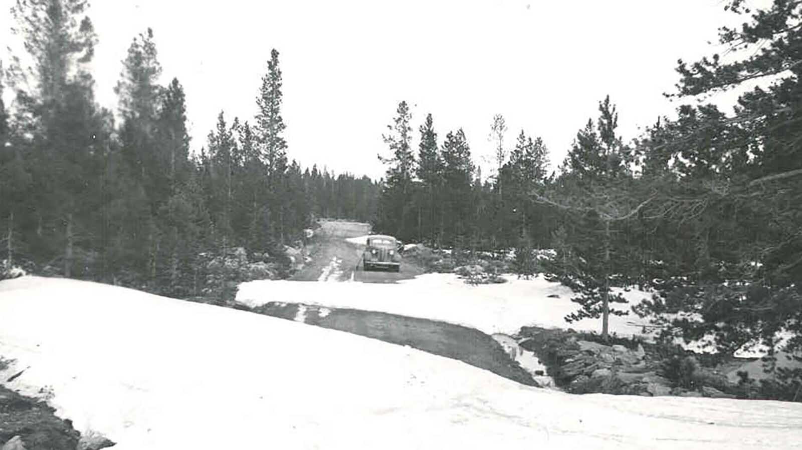 This photo shows the Louis Lake Loop Road near Lander in 1950.