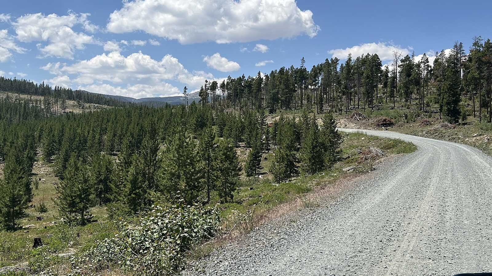 Drives on this part of Louis Loop Road can expect a bumpy ride dominated by a washboard road.