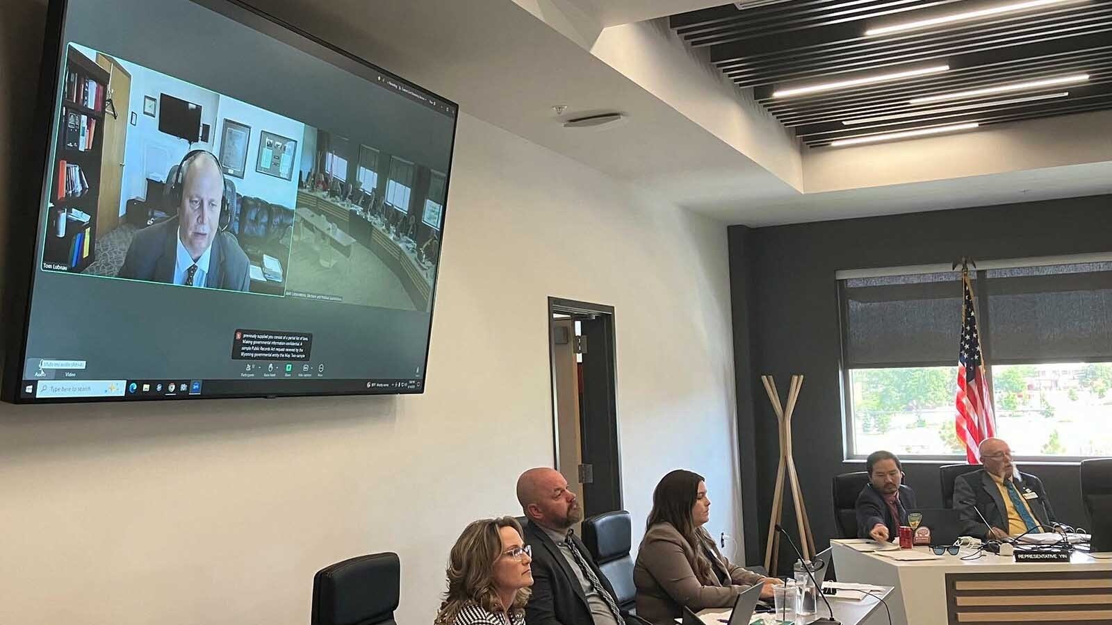 Despite a lawmaker removing him from a legislative meeting’s official schedule over his controversial column, former Wyoming House Speaker Tom Lubnau was allowed to testify Thursday — for 28 minutes.