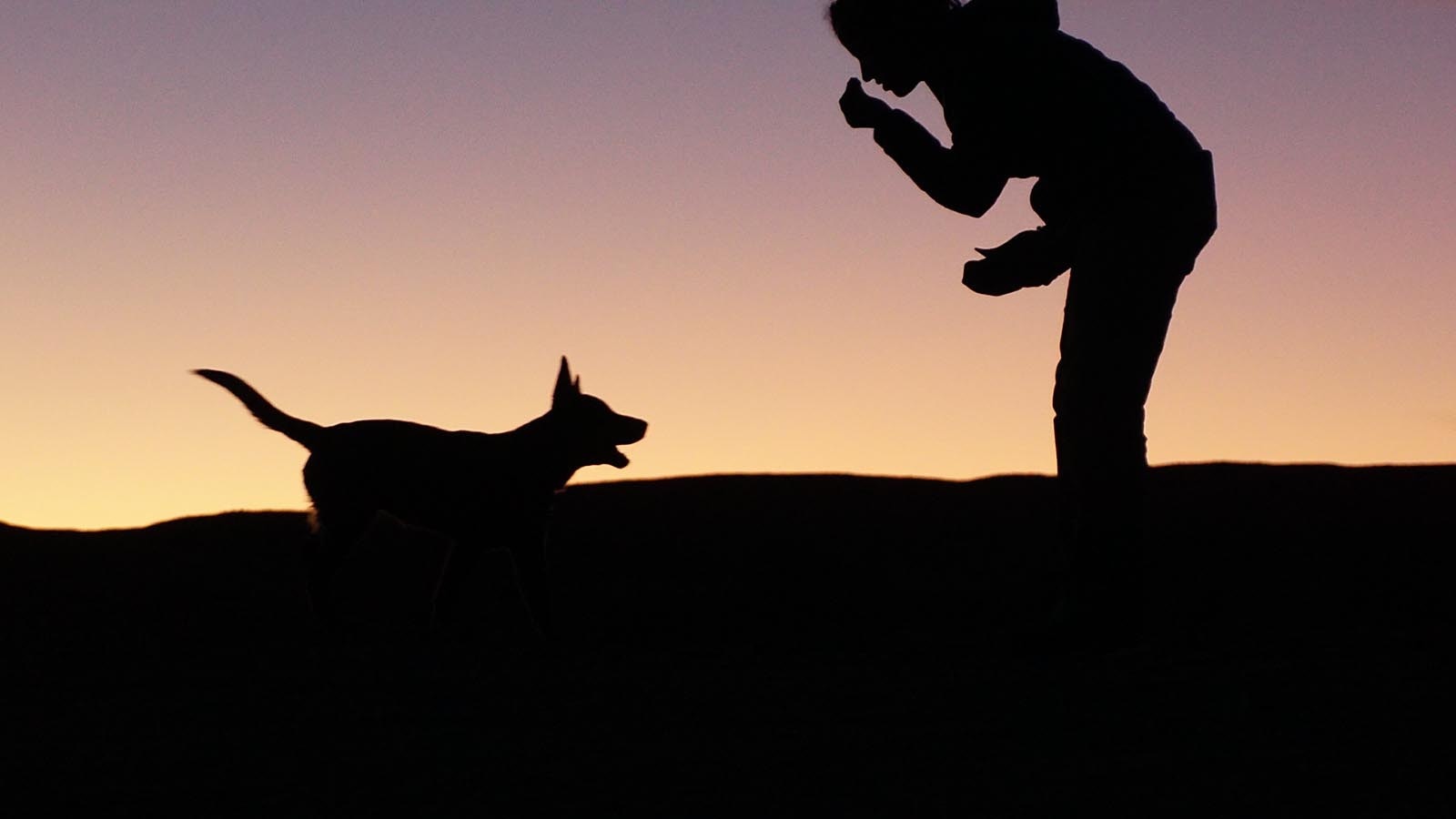 Lucy Barnard and Wombat are walking to the top of Alaska. Lucy was inspired by George Meegan who was the first man to walk the length of the earth the year she was born, 41 years ago. When she succeeds, she will be the first woman to have made the 18,640-mile journey.