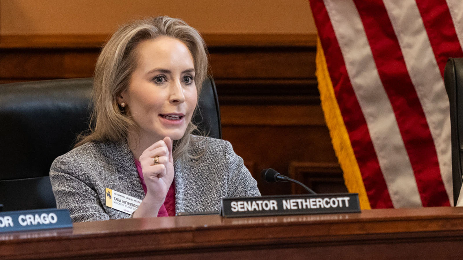 Sen. Tara Nethercott, R-Cheyenne, during a Management Council meeting on April 1, 2026, in the Historic Supreme Court Chamber at the Wyoming State Capitol in Cheyenne, Wyoming.