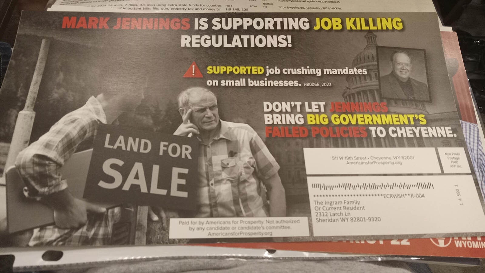 Political mailers have been stuffing mailboxes this election season.