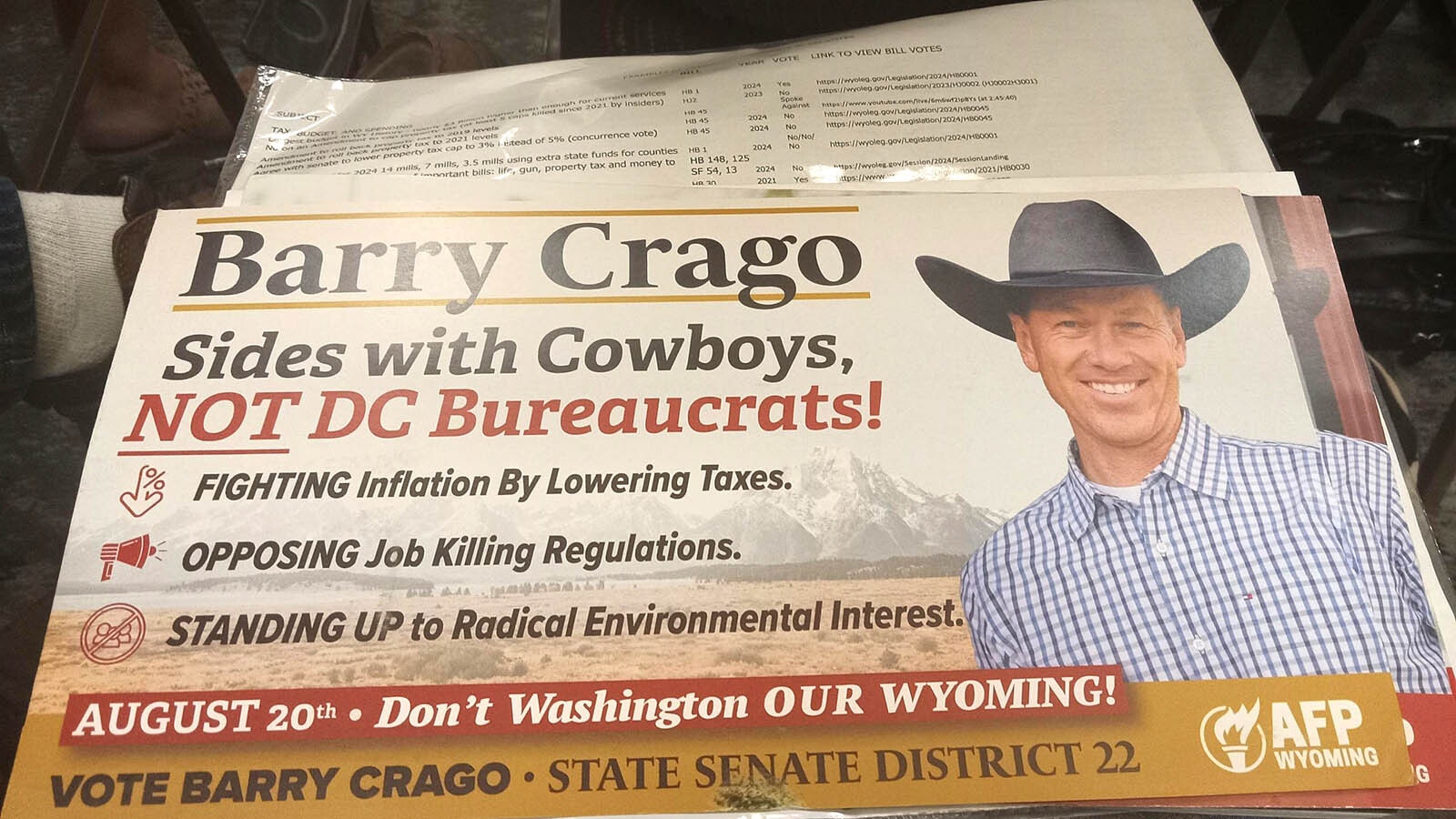 Political mailers have been stuffing mailboxes this election season.