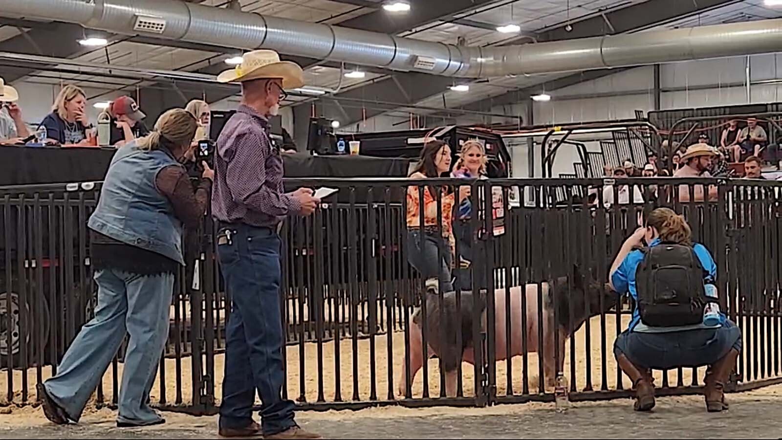 Blair Sanchez shares her personal story and desire to benefit Make-A-Wish Wyoming with her hog sale.