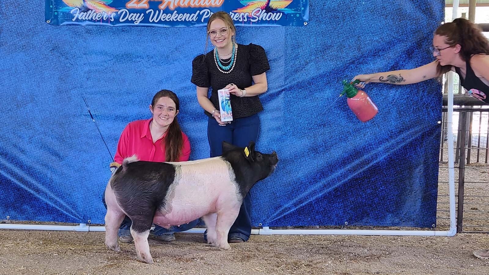 Blair Sanchez shows her hog in a competition earlier this summer.