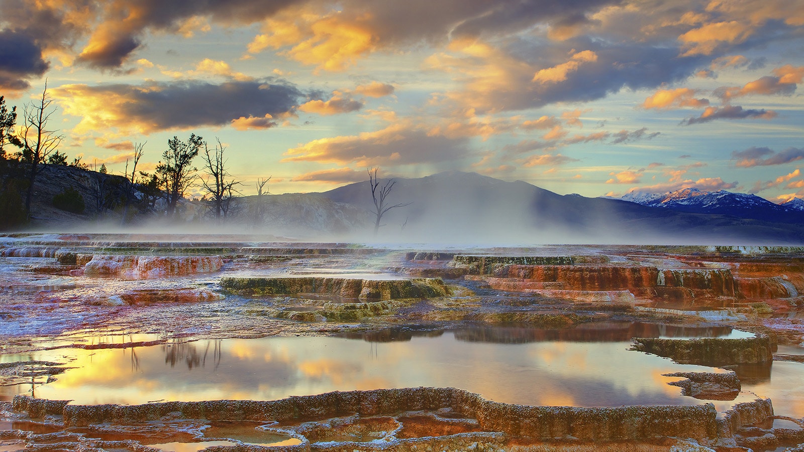 Yellowstone is a hotbed for geothermal activity, like Mammoth Hot Springs pictured here. But developing geothermal elsewhere in Wyoming still is more theoretical than practical.