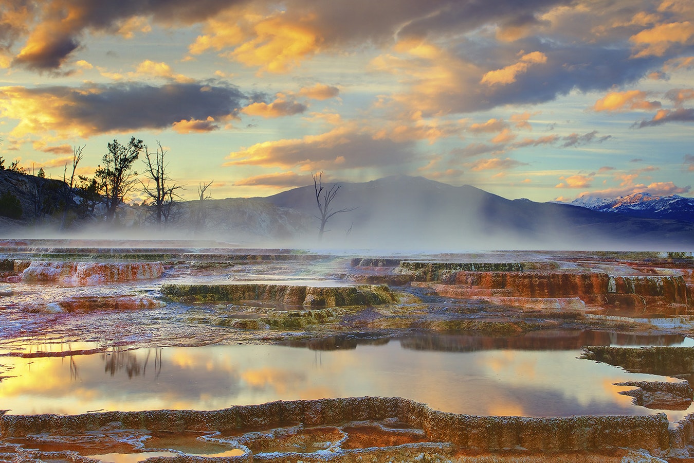 Yellowstone is a hotbed for geothermal activity, like Mammoth Hot Springs pictured here. But developing geothermal elsewhere in Wyoming still is more theoretical than practical.