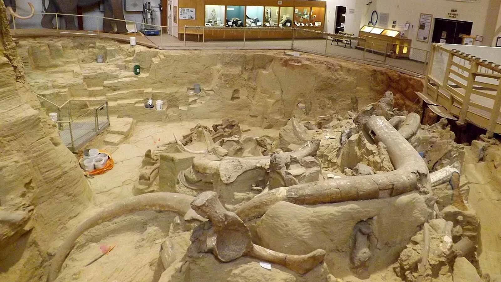 The Mammoth Site in Hot Springs, South Dakota. New research has revealed that the site, which preserved 61 intact mammoth skeletons, is between 160,000 and 232,000 years old — much older than previously thought.