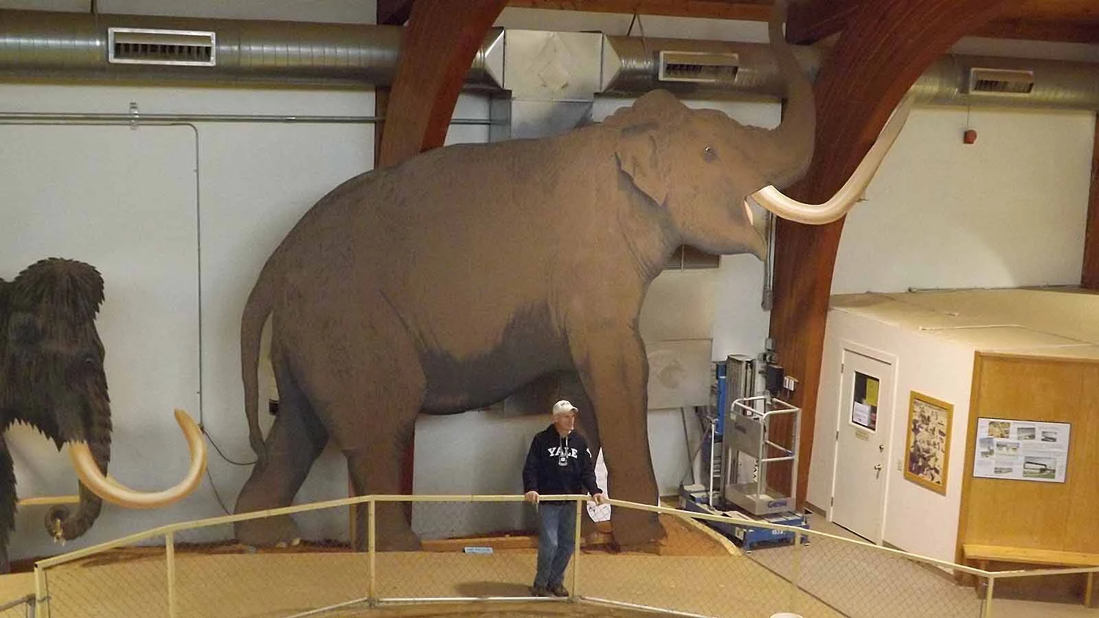 The Mammoth Site in Hot Springs, South Dakota. New research has revealed that the site, which preserved 61 intact mammoth skeletons, is between 160,000 and 232,000 years old — much older than previously thought.