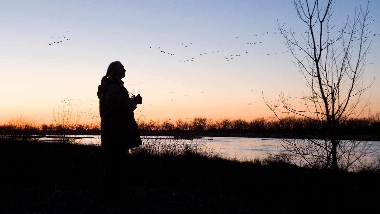 Famed British primatologist Jane Goodall watches cranes return to the Platte River in Nebraska to roost in 2009.