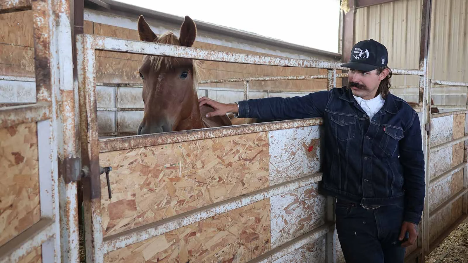 Bo Daake helps train and wrangle the horses at Mantle Ranch. He grew up in Nebraska and has been around horses all his life.