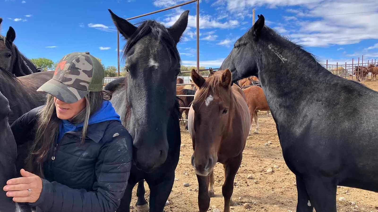 Meet The Wheatland Ranchers Who Tame Wild Mustangs Before They’re ...
