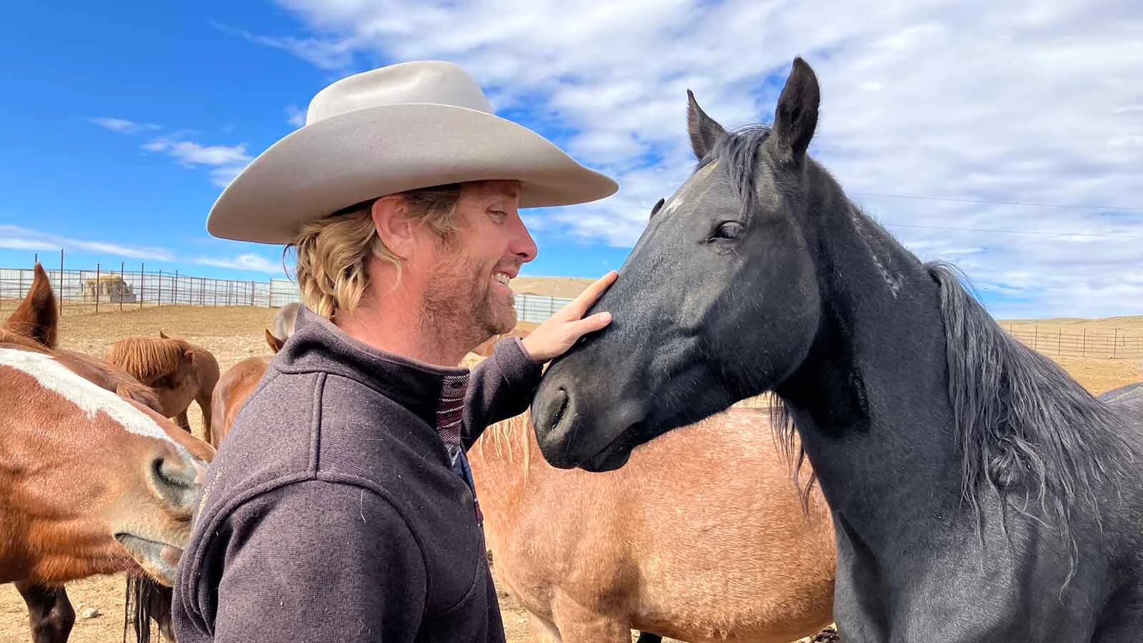 Mustangs who have been in the holding pen for a while like to get nosy with visitors. Bryan Mantle spends time just building relationships.