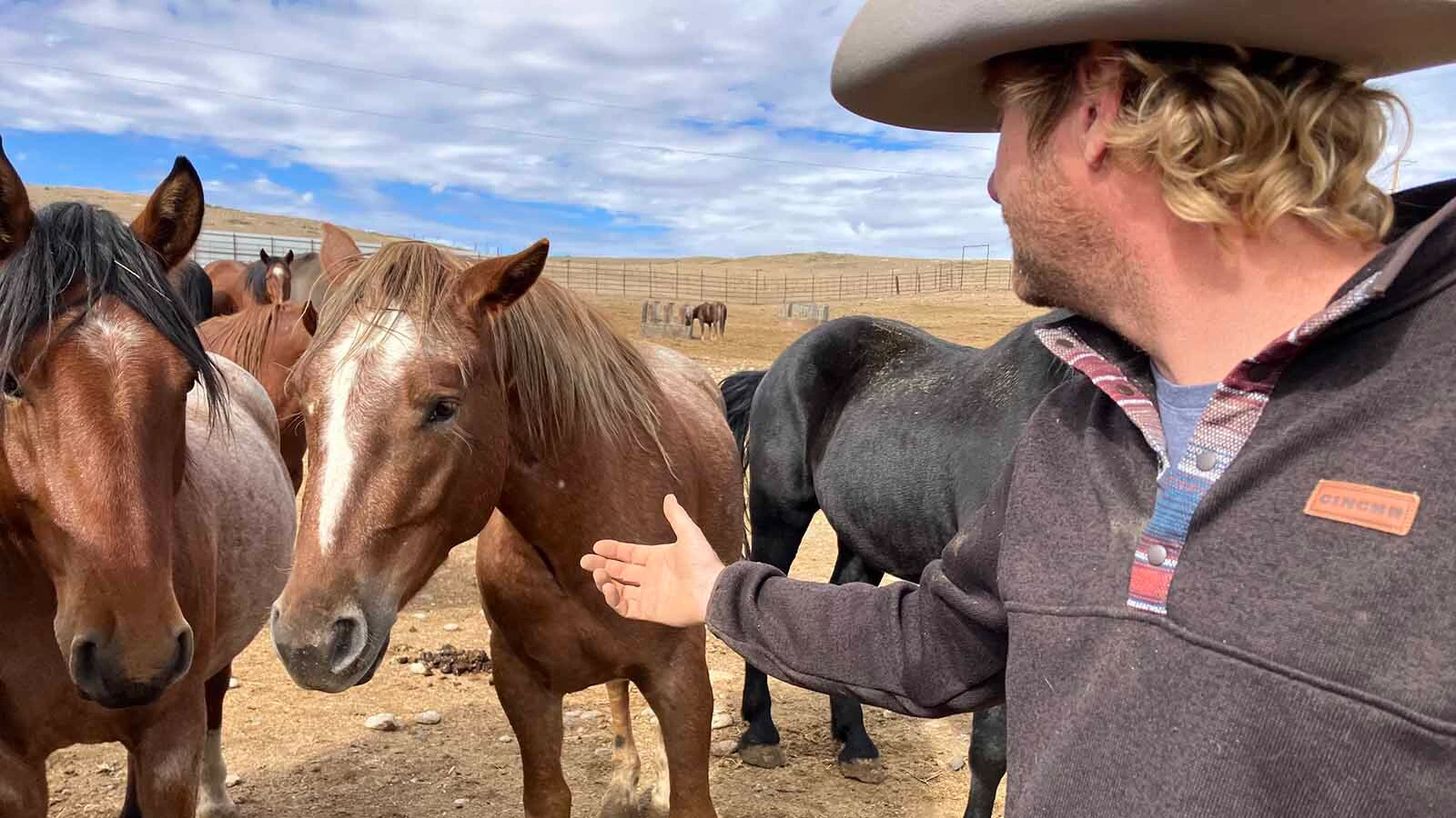 Bryan Mantle reaches out to build relationships with the horses.