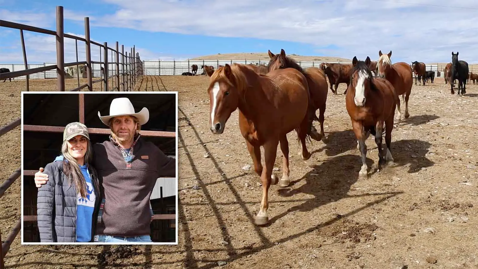 Bryan and Katie Mantle handle the daily operations at Mantle Ranch that involves meeting BLM requirements, hosting people who want to adopt horses, and all the spontaneity that 118 horses can deliver in a training process.