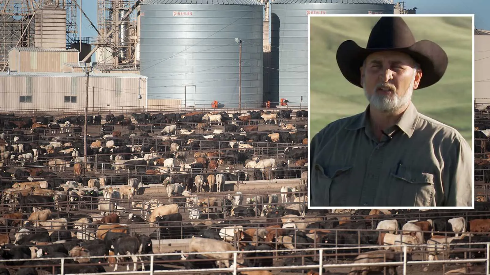 Wyoming Ranchers Say Federal Meatpacking Investigation Long OverdueKate MeadowsMay 07, 2026