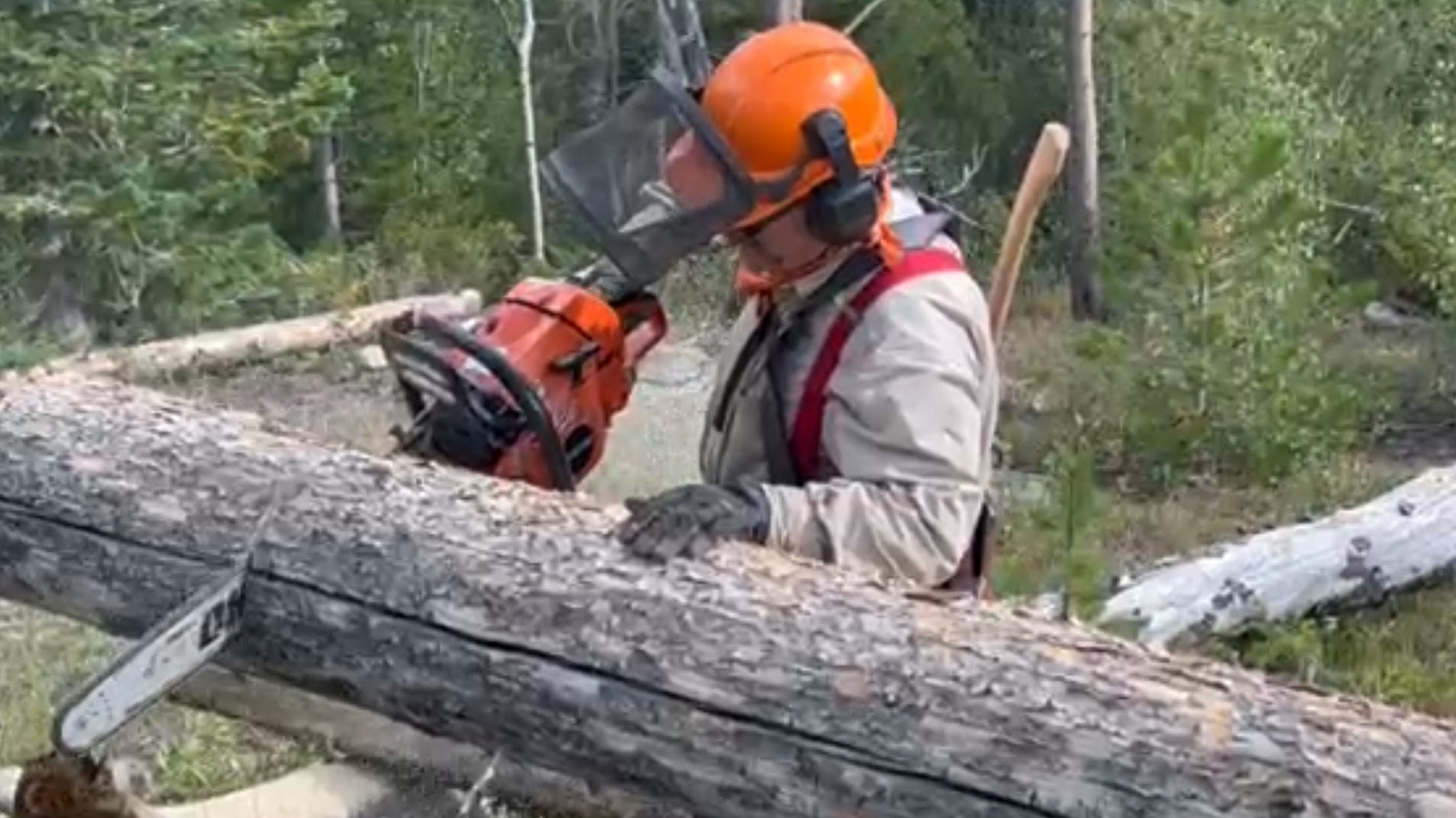 Mark cutting firewood 10 7 23