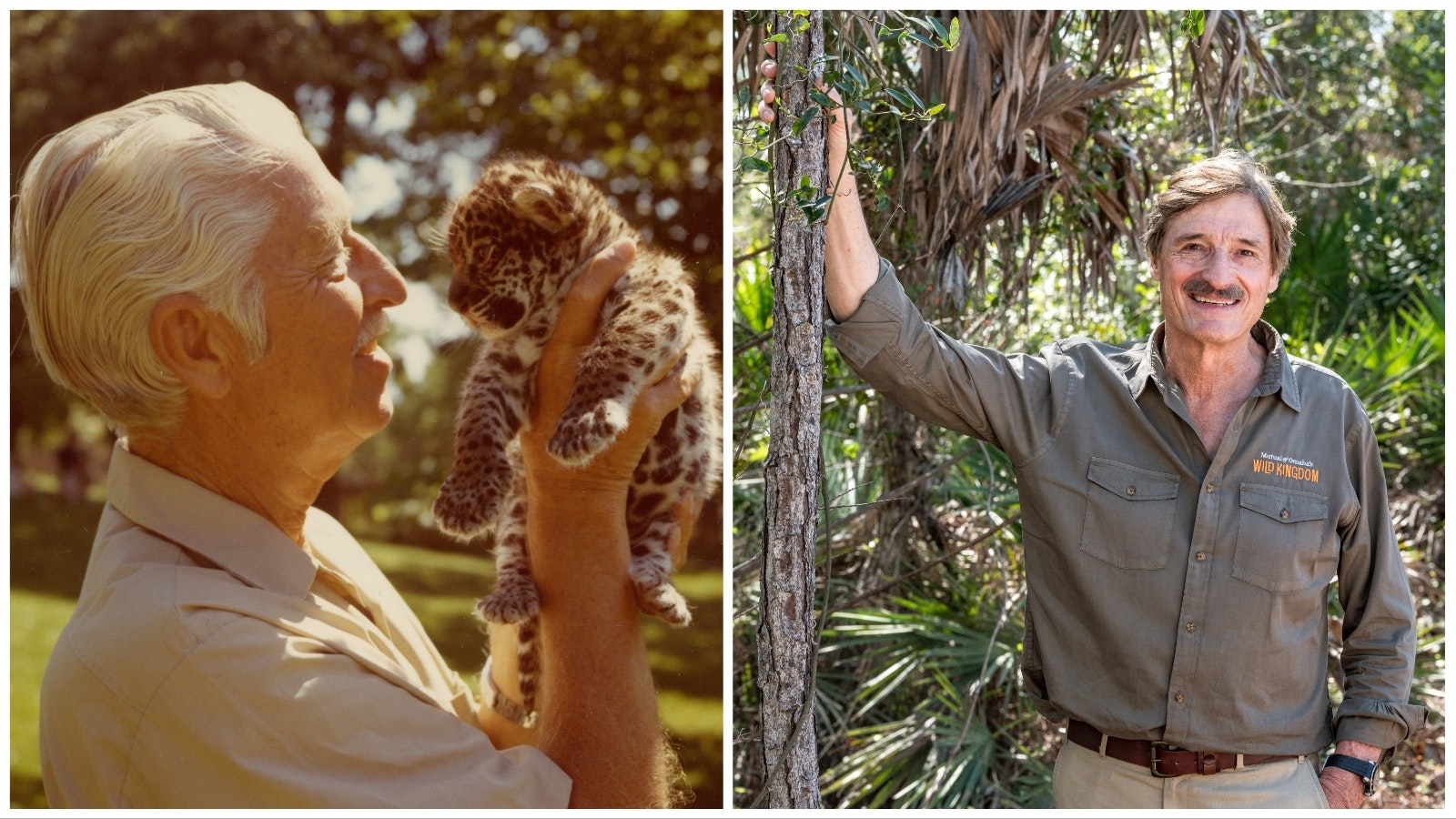 Marlin Perkins, left, is the original host of "Wild Kingdom," which is still going strong in its 60th year with current host Peter Gros, right.