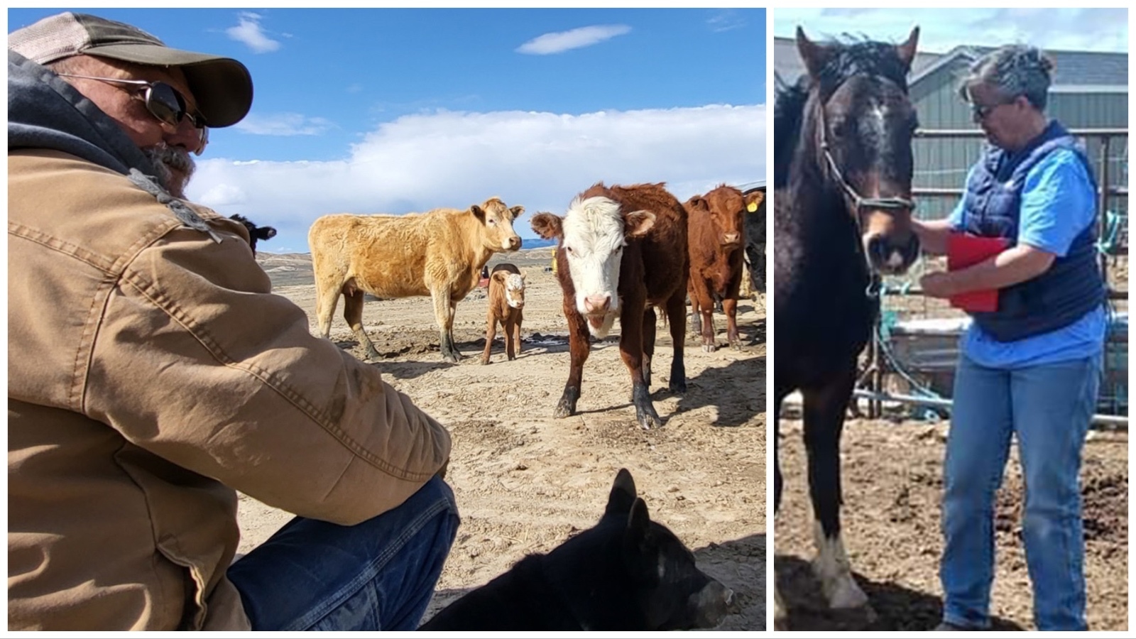 Marvin, left, and Stephanie Bagley
