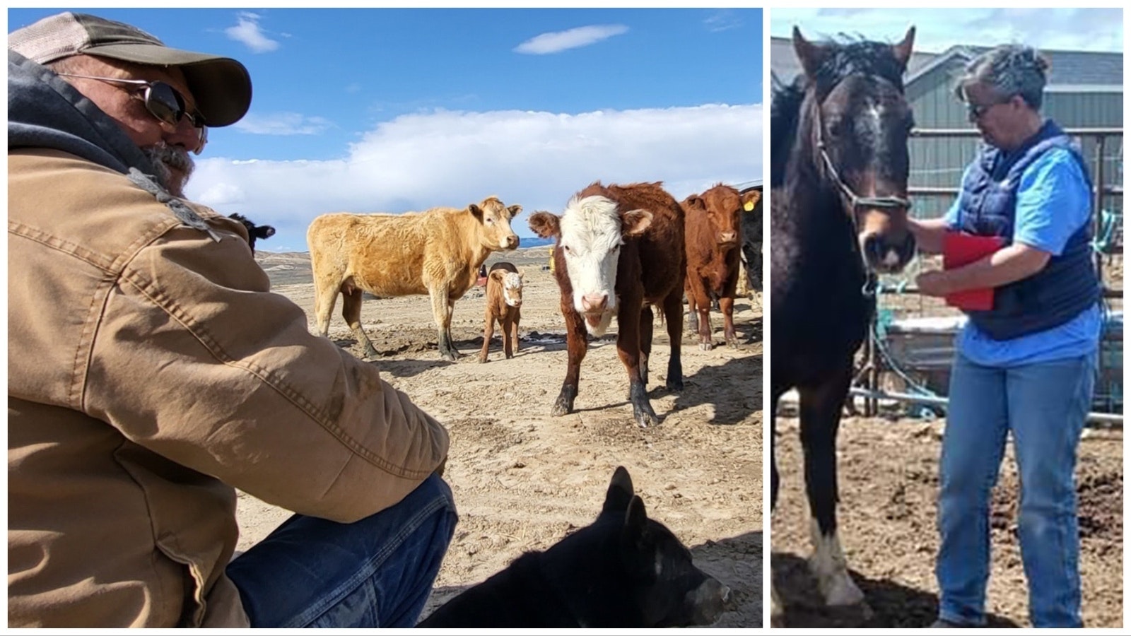 Marvin, left, and Stephanie Bagley