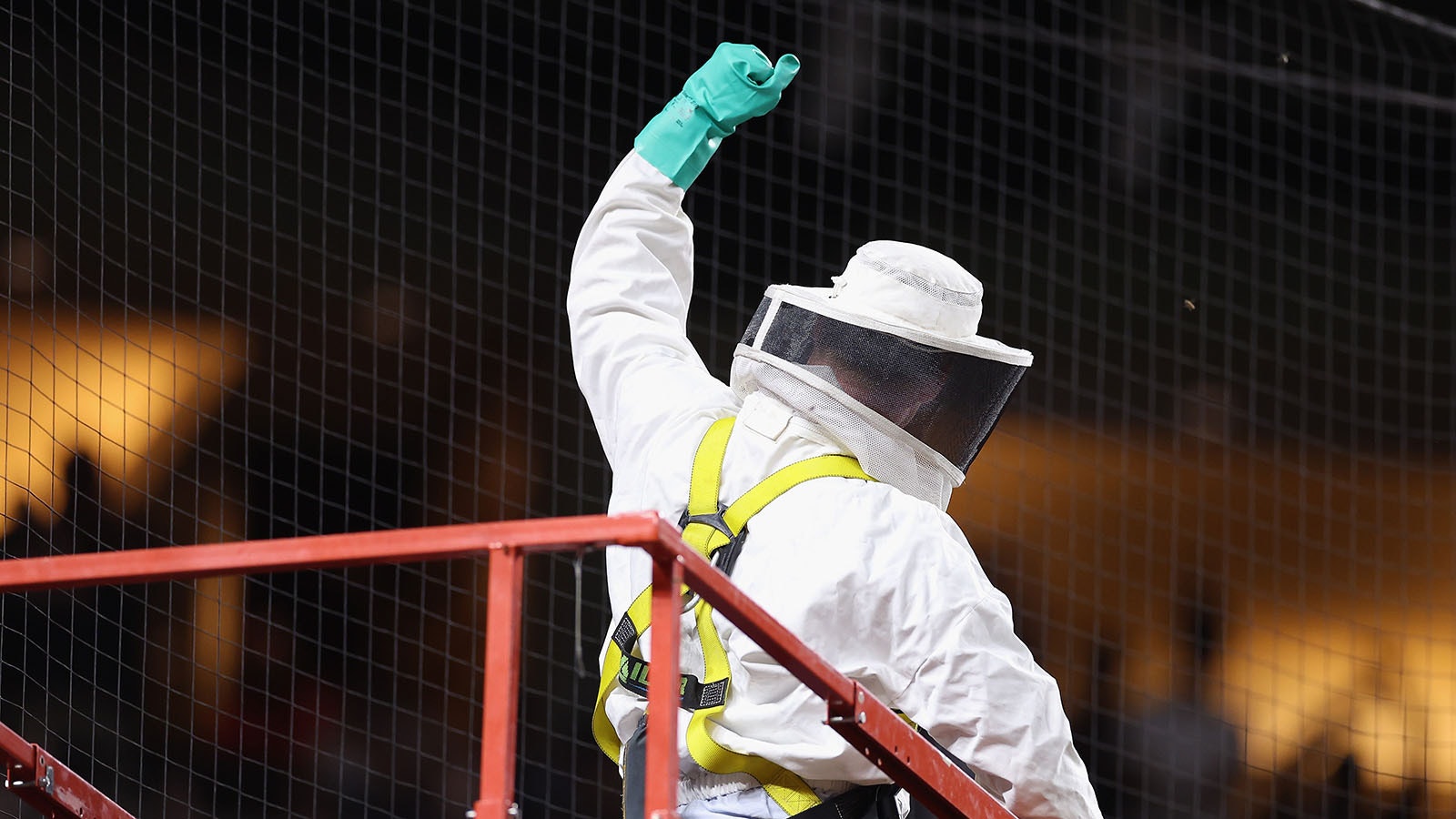 Beekeeper Matt Hilton reacts to fans after removing a colony of bees that formed on the net behind home plate during a delay to the MLB game between the Los Angeles Dodgers and the Arizona Diamondbacks at Chase Field on April 30, 2024, in Phoenix, Arizona.