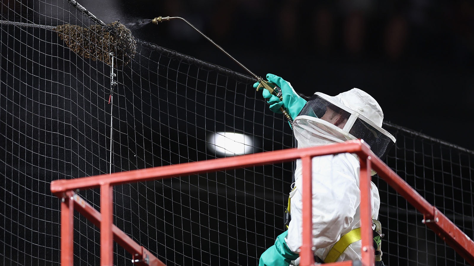 Beekeeper Matt Hilton removes a colony of bees that formed on the net behind home plate during a delay to the MLB game between the Los Angeles Dodgers and the Arizona Diamondbacks at Chase Field on April 30, 2024, in Phoenix, Arizona.