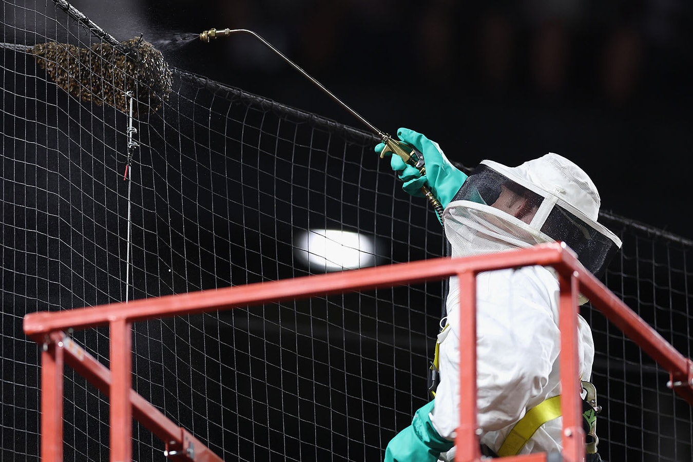 Beekeeper Matt Hilton removes a colony of bees that formed on the net behind home plate during a delay to the MLB game between the Los Angeles Dodgers and the Arizona Diamondbacks at Chase Field on April 30, 2024, in Phoenix, Arizona.