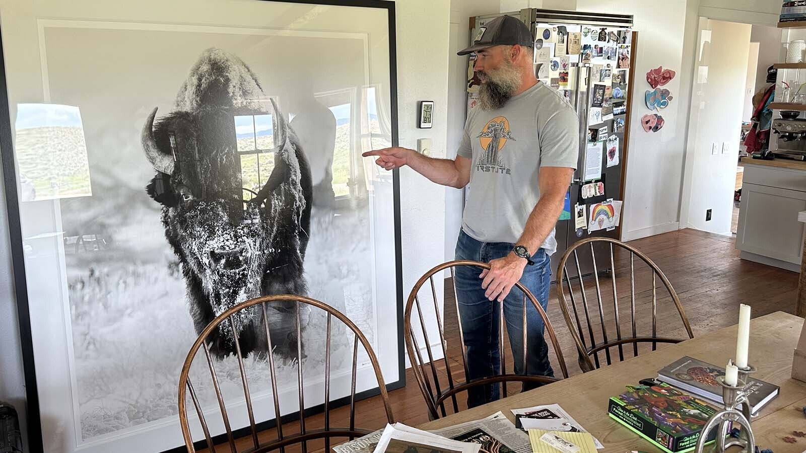A grand bison Skoglund referred to as “The Gentle Giant” in a massive framed image shot by British photographer David Yarrow.