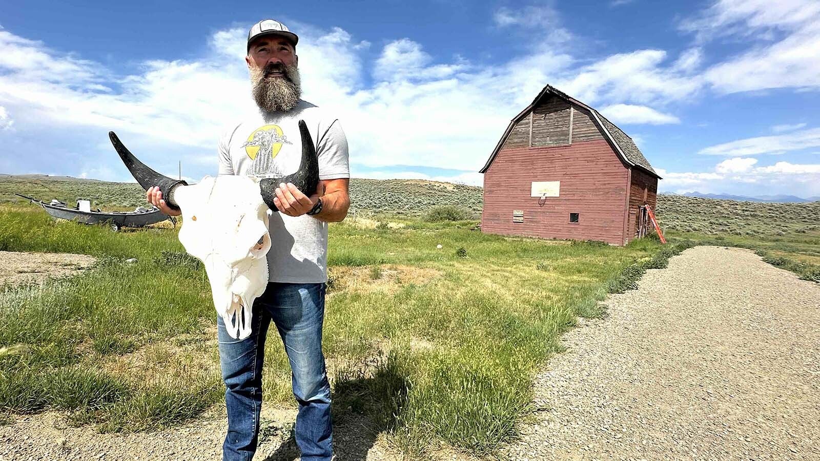North Bridger Bison tries to make use of every part of the animal — bleached skulls for collectors and florists who use them in arrangements.