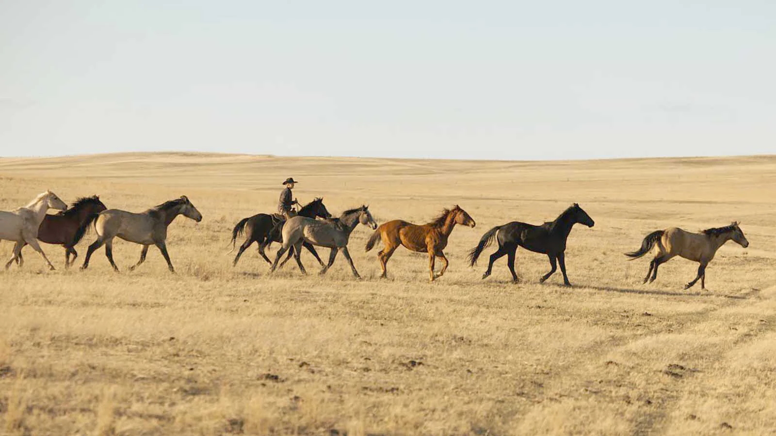 Horseback riding also will be available at Meadowlark Ski Resort.