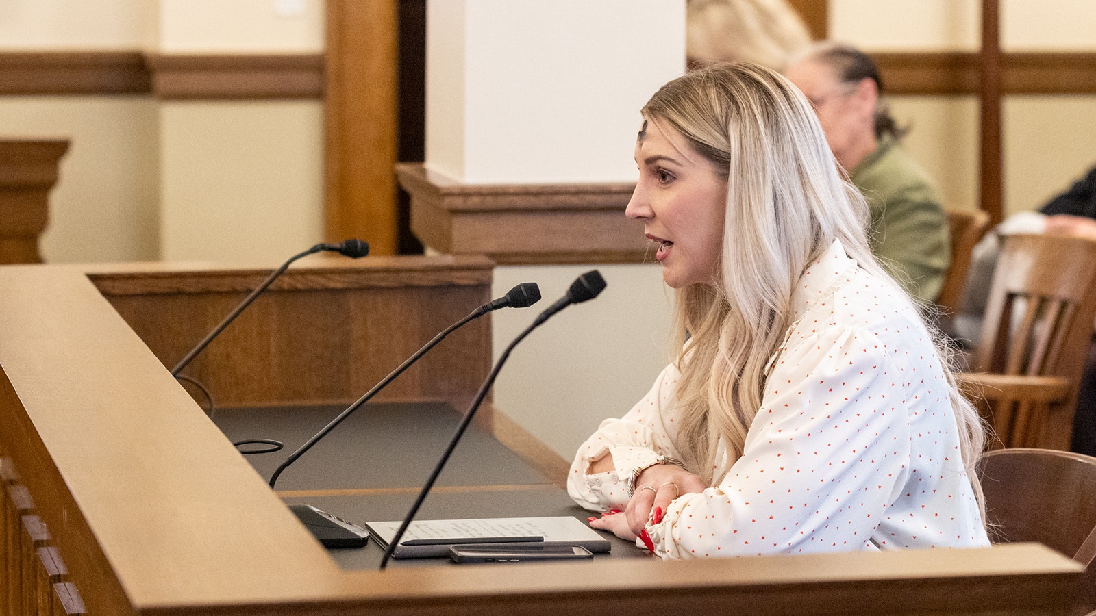 Wyoming Superintendent of Public Instruction Megan Degenfelder testifies in favor of a parental health care notification bill for schools in front of the Senate Education Committee on Feb. 14, 2024.